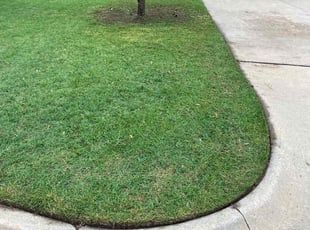 George P.'s lawn service service result