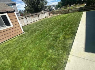 Mike R.'s grass maintenance service result