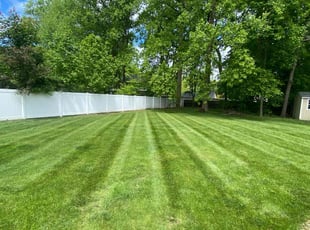 Dan Z.'s turf care service result