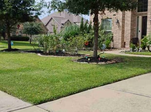 Donald C.'s yard service service result