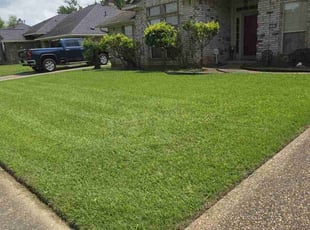 Sarah H.'s turf care service result