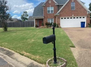 Vantaisha J.'s turf care service result