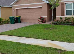 Nancy E.'s turf care service result