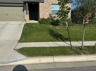 Connie M.'s grass maintenance service result