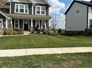 Donna W.'s turf care service result
