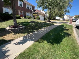 Lexi E.'s lawn care service result