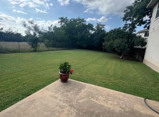 Hunter H.'s turf care service result