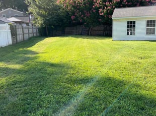Kyle S.'s grass cutting service result