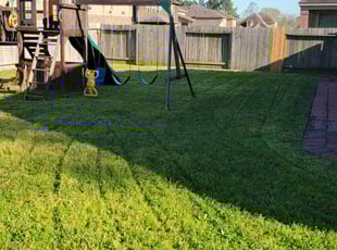 John S.'s turf maintenance service result