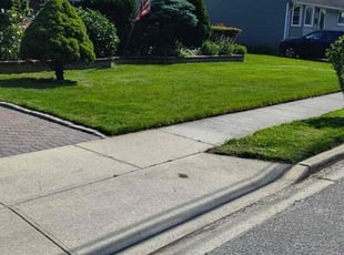 Elijah M.'s turf care service result