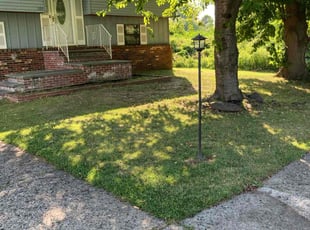 Rhonda T.'s lawn maintenance service result