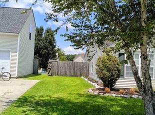 Randy C.'s grass maintenance service result