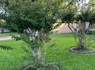 Karen C.'s lawn maintenance service result