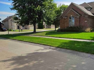 Mike B.'s grass maintenance service result