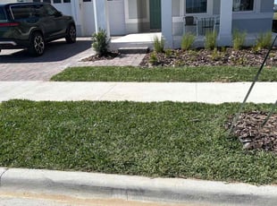 Laura D.'s grass maintenance service result