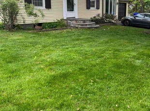 Cynthia M.'s turf maintenance service result