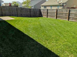 Michael M.'s lawn maintenance service result