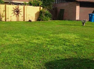 Jenni H.'s lawn maintenance service result