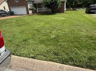 Kristina N.'s lawn service service result