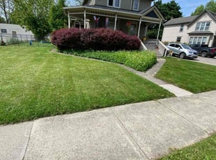 Chad S.'s lawn care services service result
