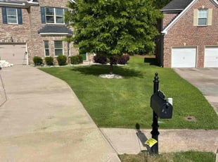 Richard B.'s lawn care service result