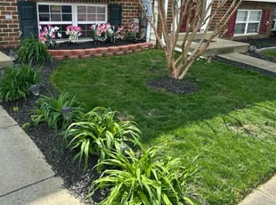 Dellonte S.'s turf maintenance service result