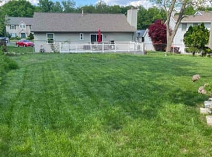 Dax J.'s turf care service result
