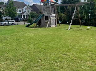 Brigitte B.'s yard maintenance service result