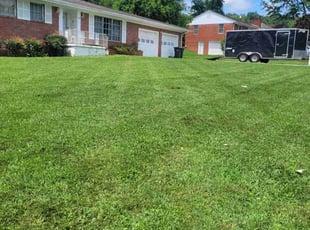 Alex H.'s lawn care service result