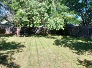 Steve C.'s grass cutting service result