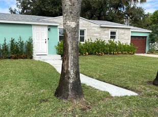 Abadis R.'s lawn care services service result