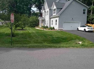 Chudi S.'s lawn care services service result