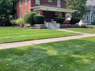 Helen N.'s turf care service result