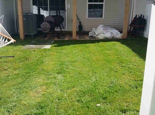 Jeanette H.'s lawn care services service result