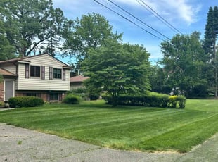 Jenna L.'s grass cutting service result