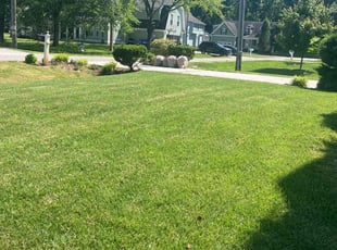 Merrisa B.'s yard service service result