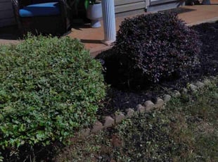 Robert J.'s Mulching service result