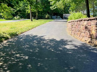 Anita M.'s lawn maintenance service result