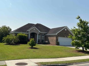 Rachel R.'s lawn care service result