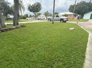 Elizabeth O.'s grass maintenance service result