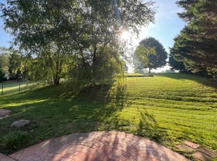 Christina S.'s turf care service result