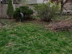 Chris M.'s Bush Trimming service result