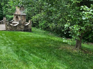 "Crystal B.'s turf care service result