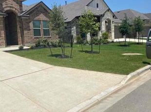 Debi B.'s lawn maintenance service result