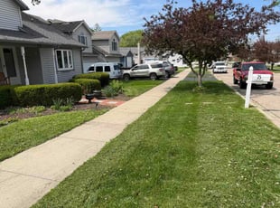 Jobin T.'s lawn maintenance service result