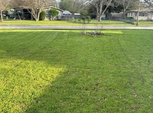 Richard C.'s turf care service result