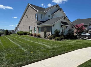 Sophia H.'s lawn care service result