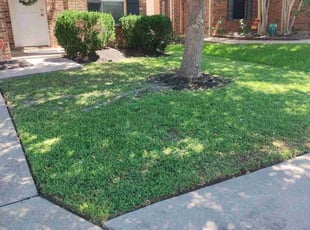 Kimberly M.'s grass cutting service result
