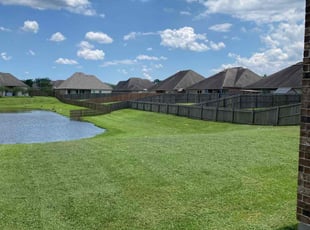 Brad B.'s turf care service result