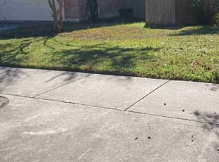 Ashanti G.'s turf care service result